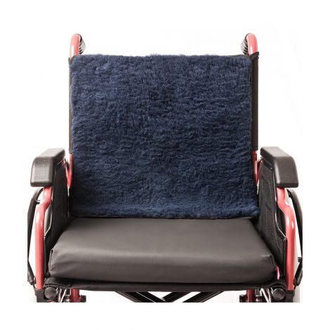 Wheelchair Back Protector